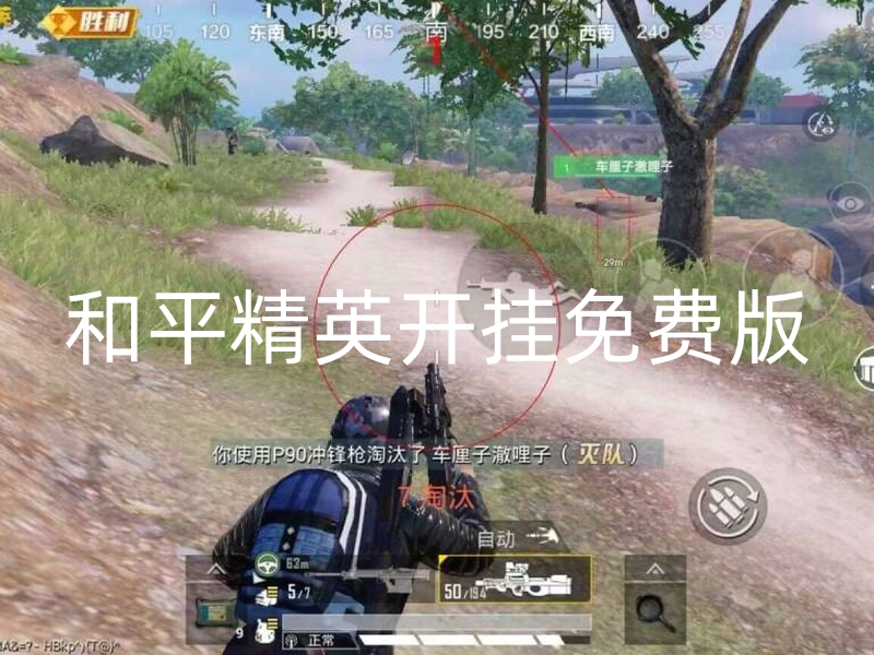 和平精英开挂免费版-全新容器直装【魔方】